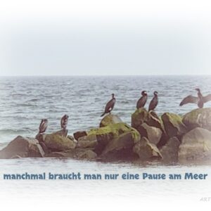 manchmal - Kormorane