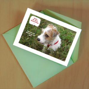 Franzi Karte Geburtstag