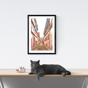 Altstadtgasse in Karlstadt am Main